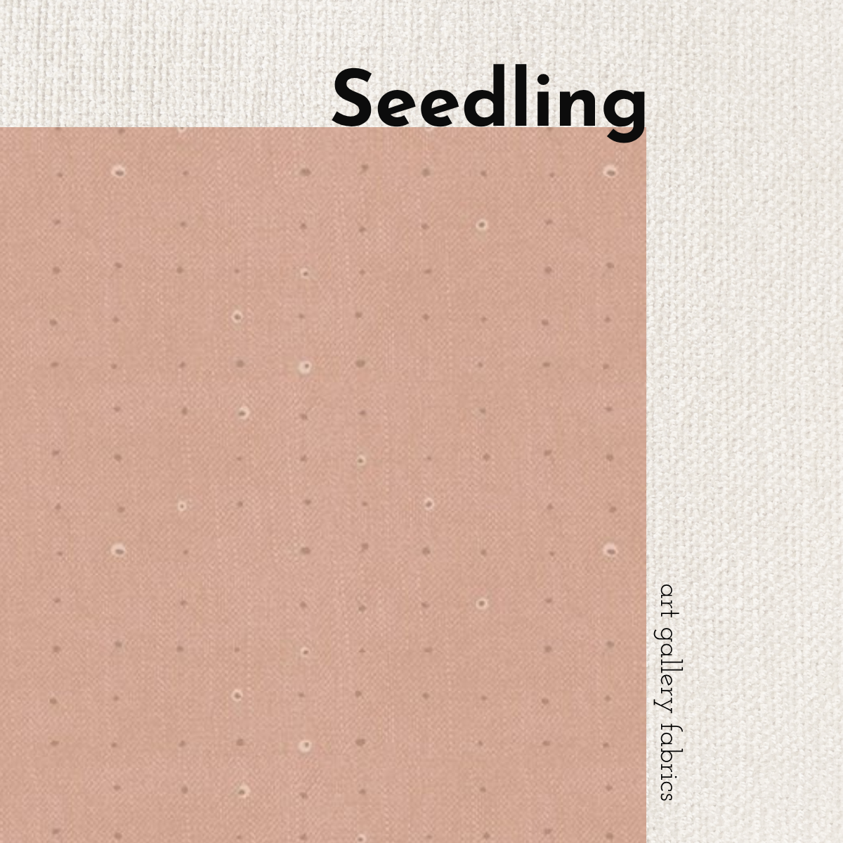 Art Gallery Seedling – Blender-Serie