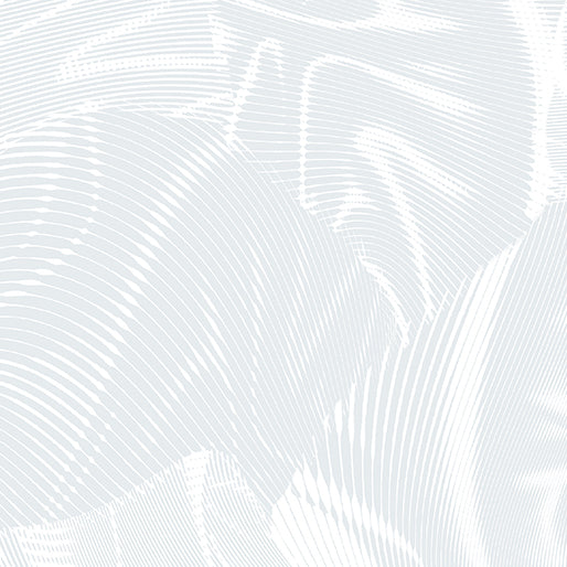 benartex | echo | szaro-biały