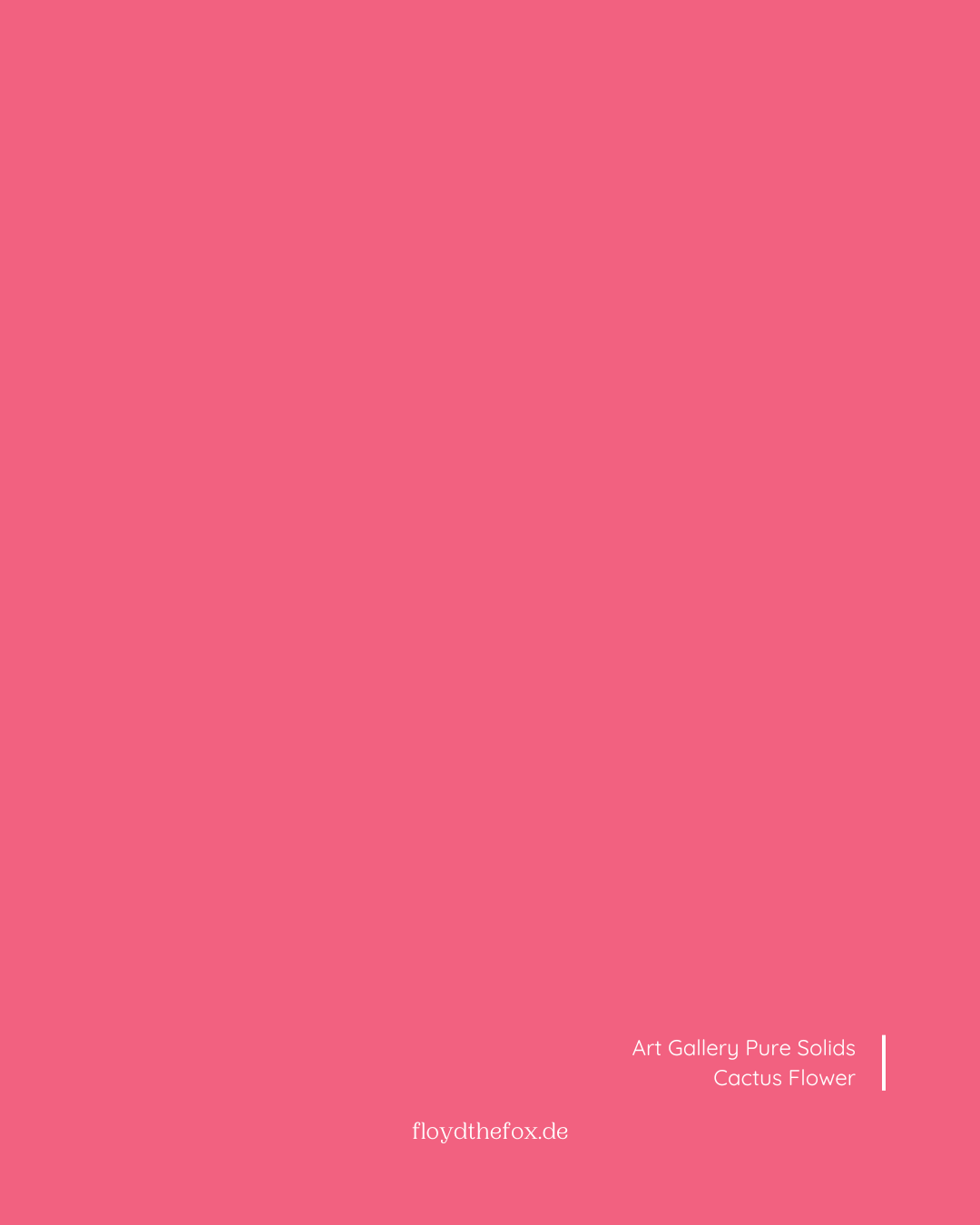 cactus flower | art gallery PURE solids - floydthefox