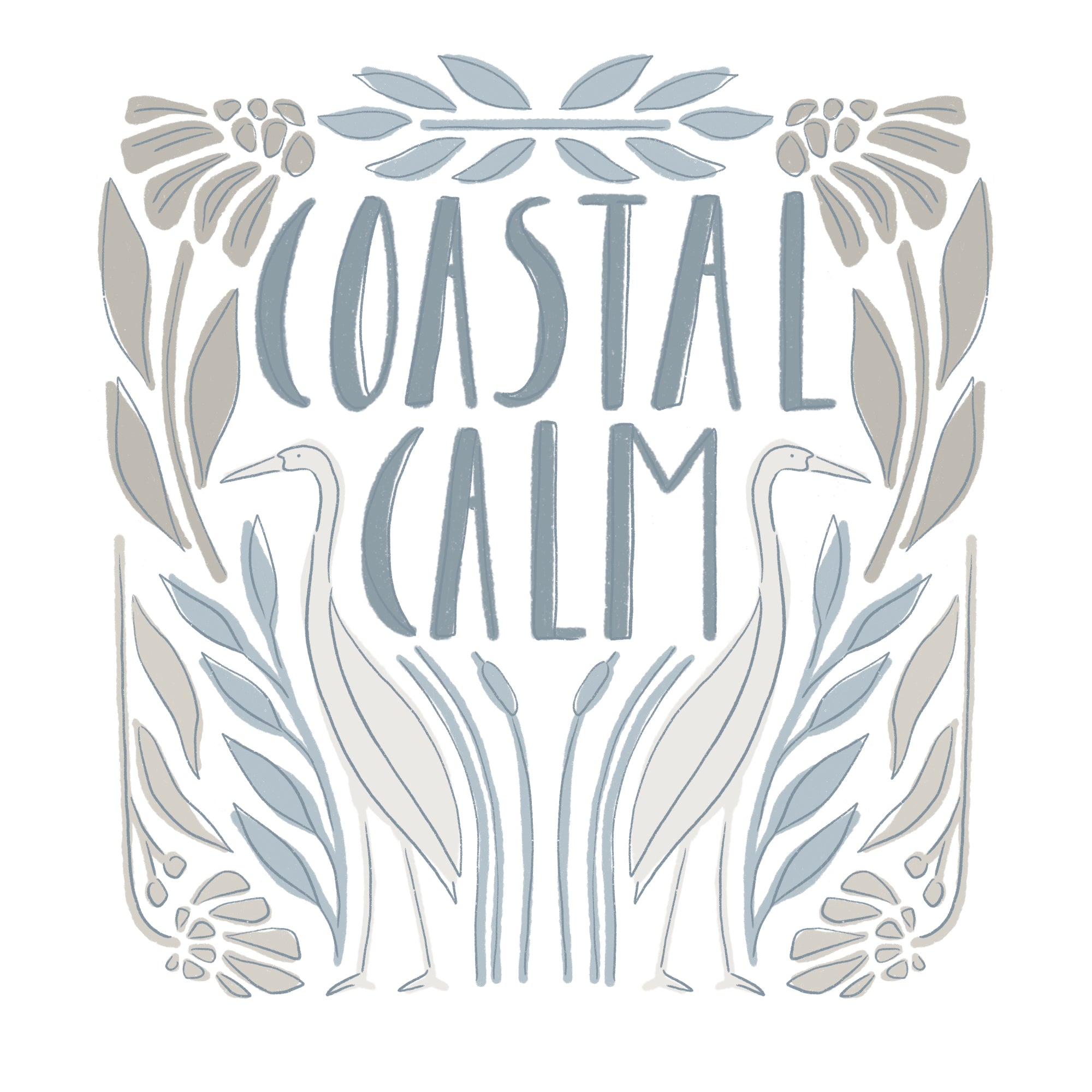 cloud9 BIO | coastal calm | emerson - floydthefox