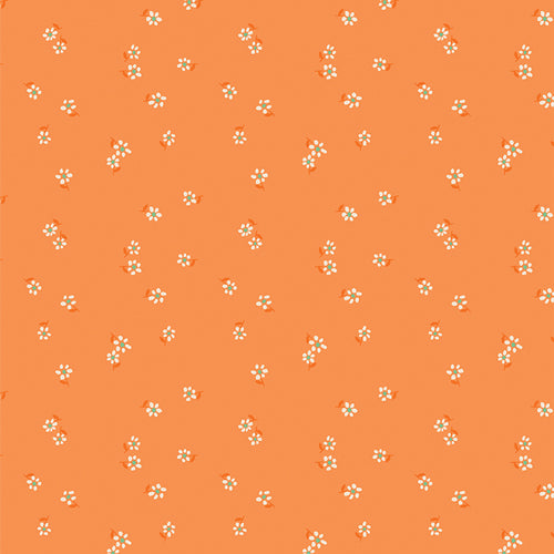 agf | daisy | drifting florets marmalade - floydthefox