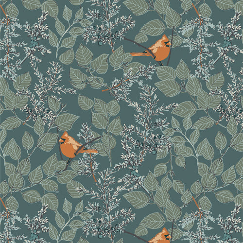 agf | juniper | juniper grove evergreen - floydthefox