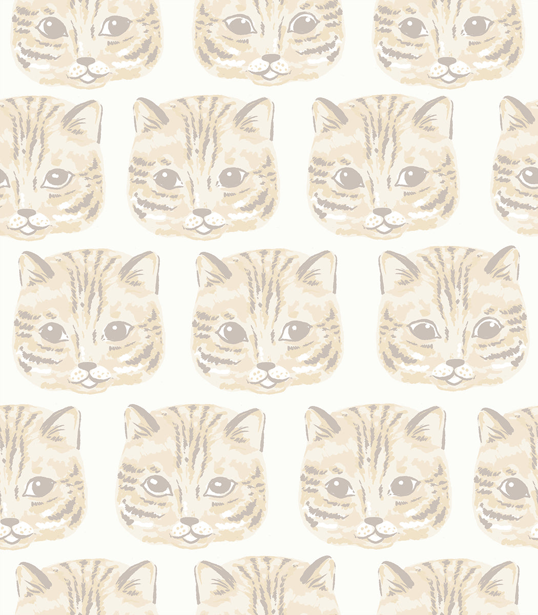 ruby star society | reading nook | meow meow cream soda - floydthefox