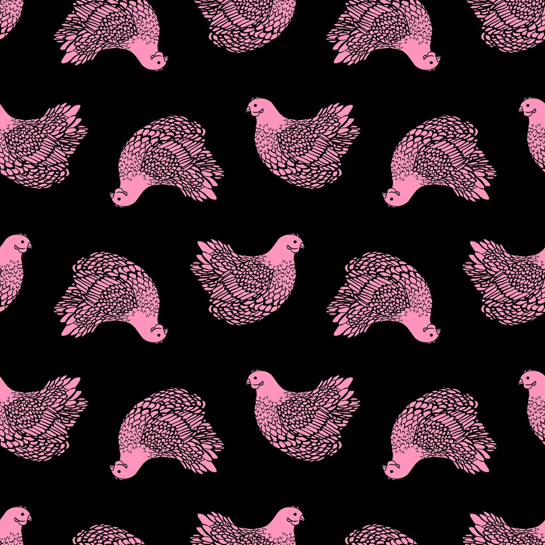 ruby star society | backyard | chicken black - floydthefox