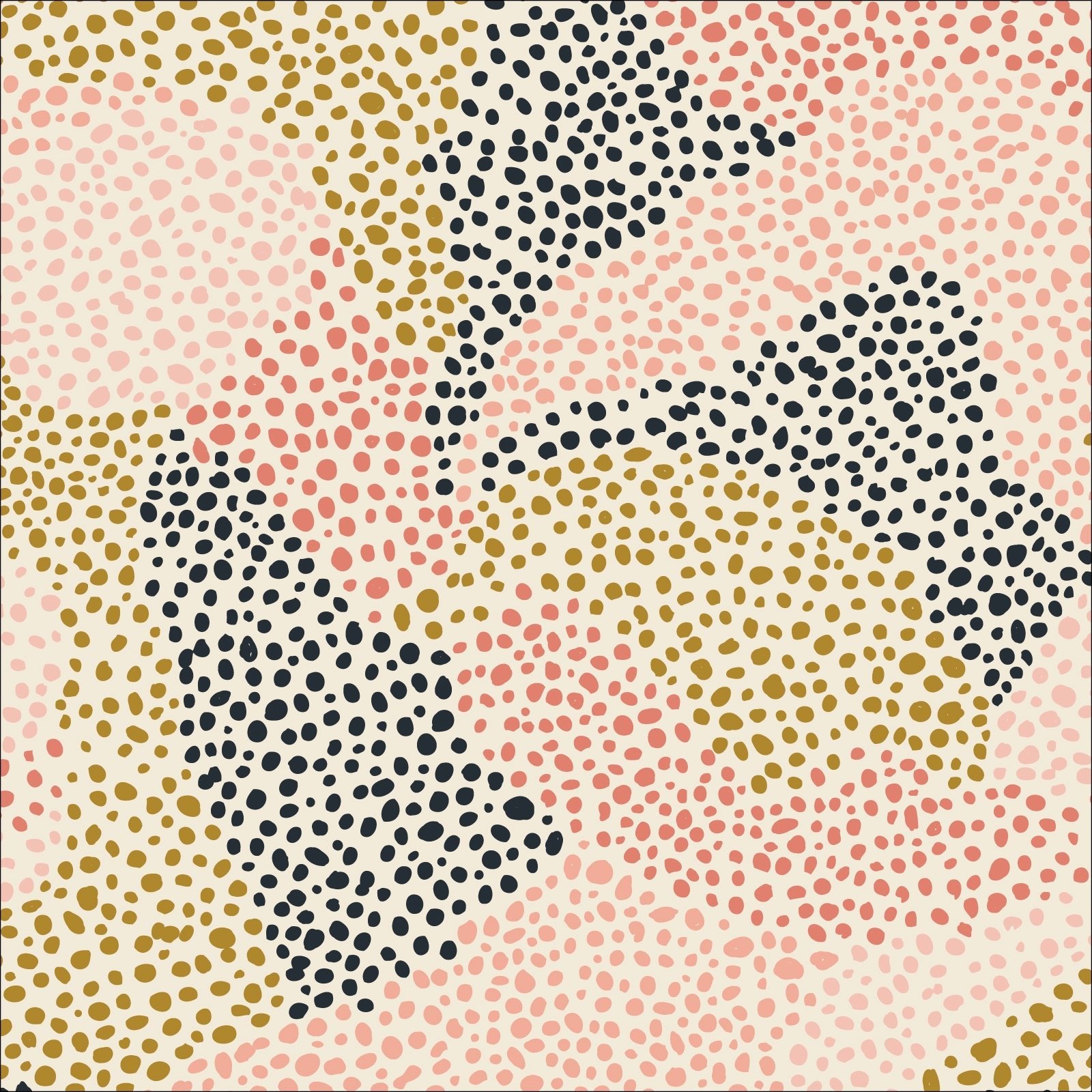 cloud9 BIO | enchanted | rock garden - floydthefox