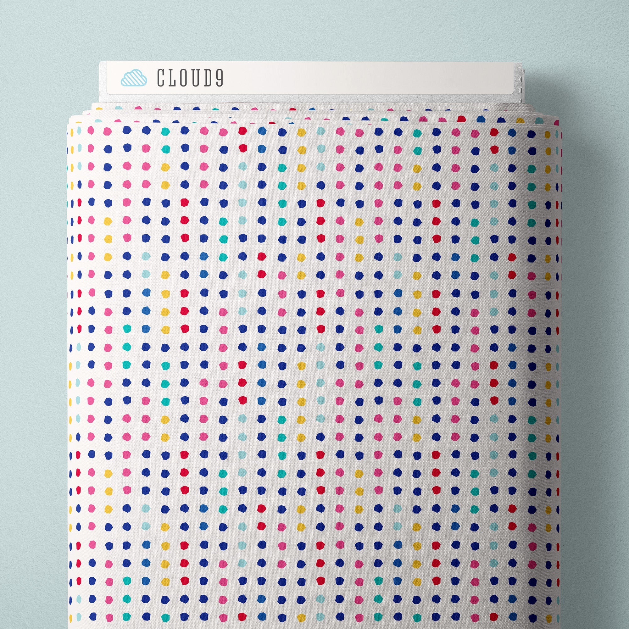 cloud9 BIO | reindeer romance | pebbles - floydthefox