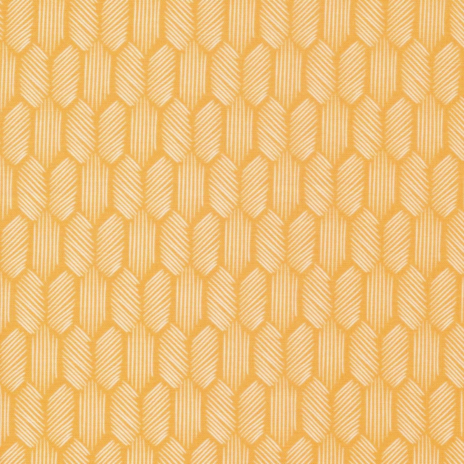 cloud9 BIO | tropical garden | buzz - floydthefox