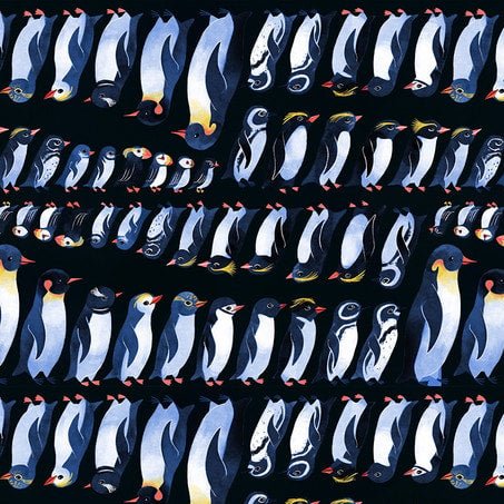 free spirit | polar seas | penguins and puffins black - floydthefox