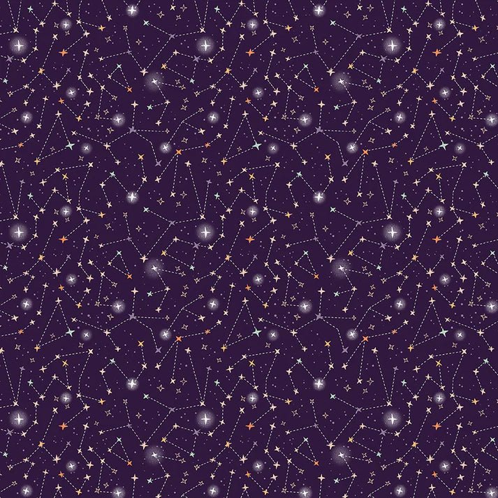 paintbrush studio fabrics | starlight spooks | night sky - floydthefox