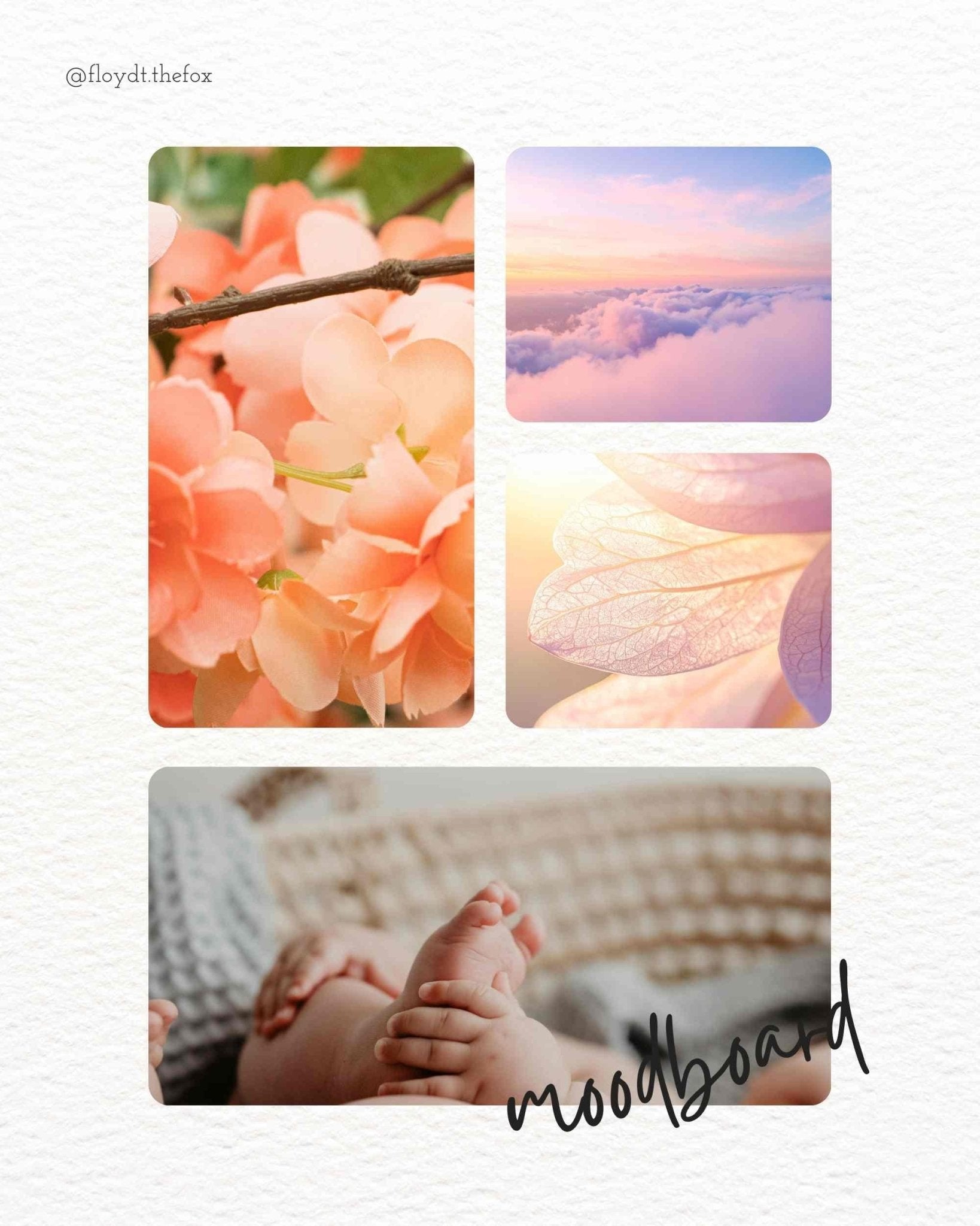 quiltkit | heck.yes.sew.co | sweet creek | baby peach - floydthefox