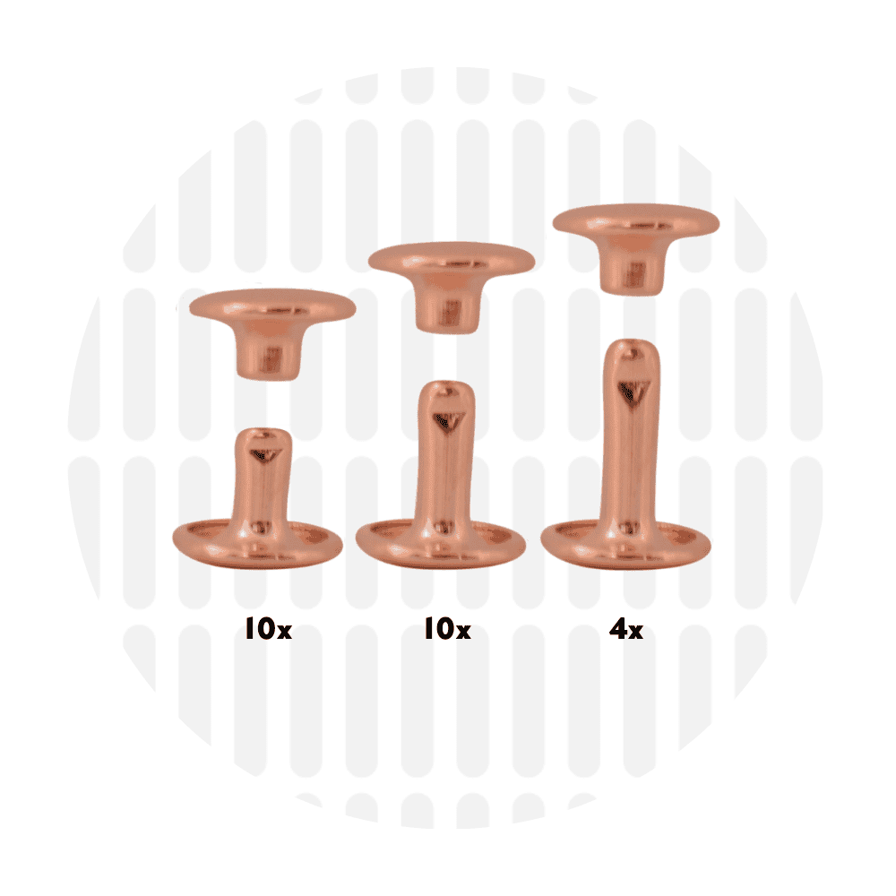 zipper zoo | einschlag-nieten set | 9mm - floydthefox