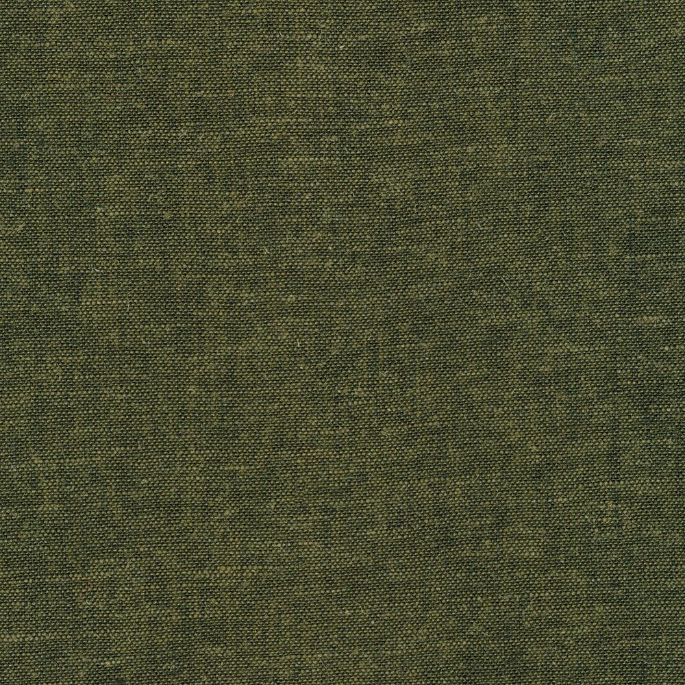 robert kaufman | brussels washer yarn dye | fern - floydthefox