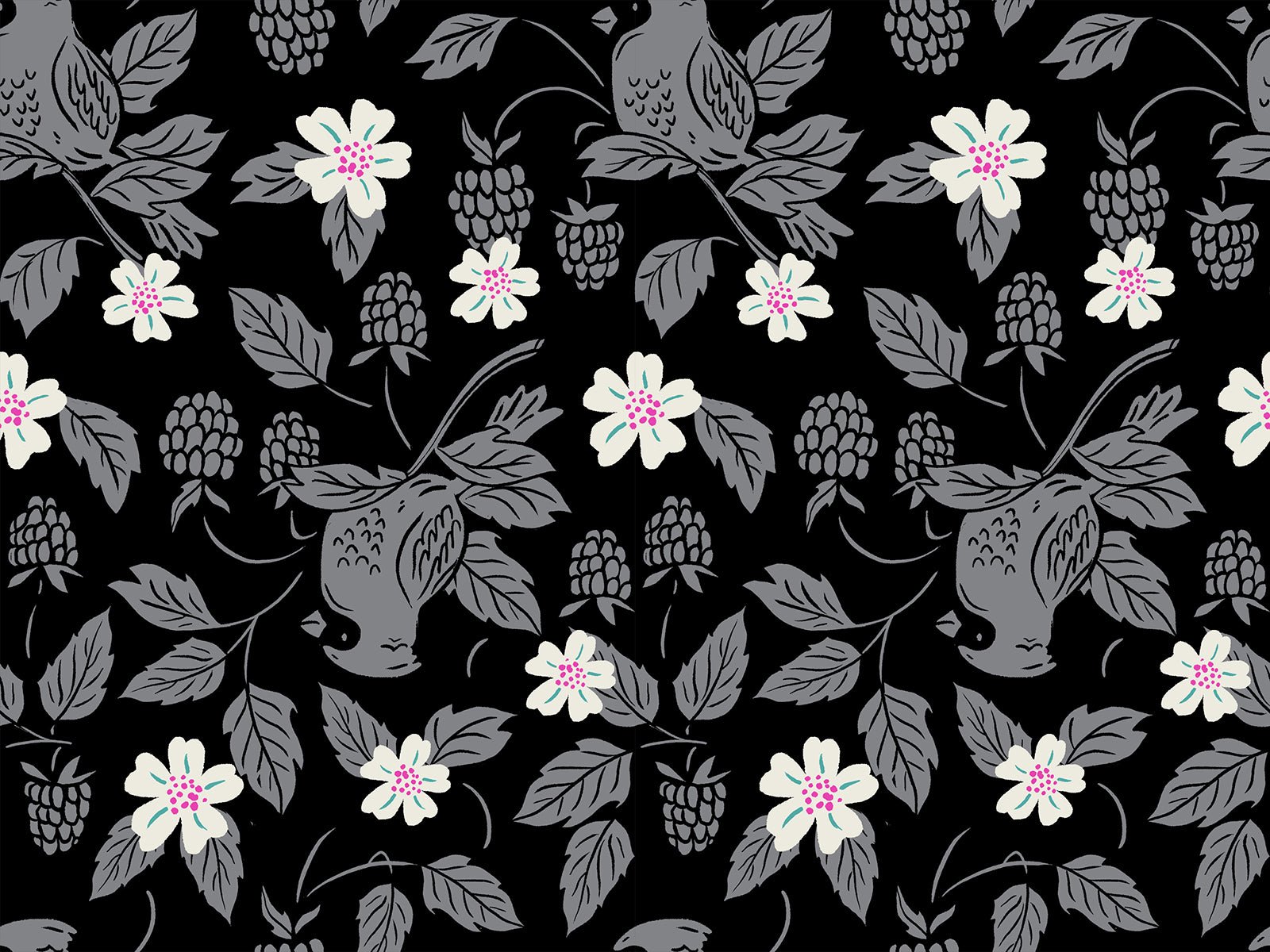 ruby star society | backyard | cardinal black - floydthefox