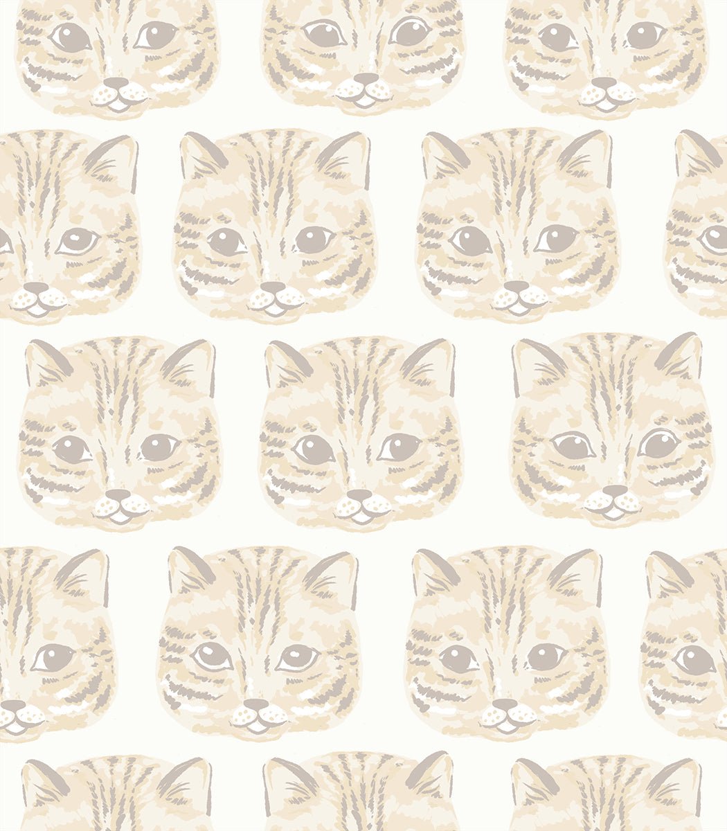 ruby star society | reading nook | meow meow cream soda - floydthefox