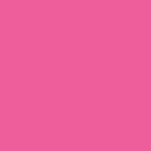 festival fuchsia | art gallery PURE solids - floydthefox