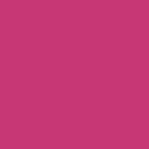 raspberry rose | art gallery PURE solids - floydthefox