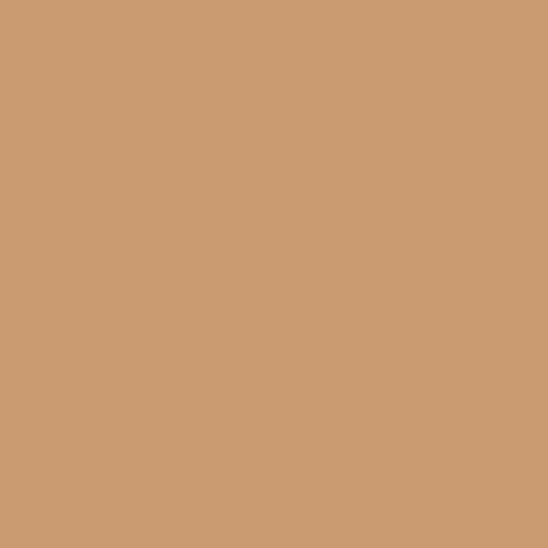 toasty walnut | art gallery PURE solids - floydthefox