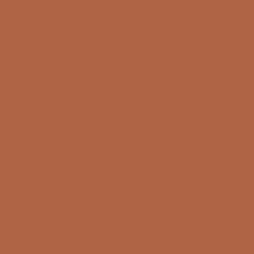 sienna brick | art gallery PURE solids - floydthefox