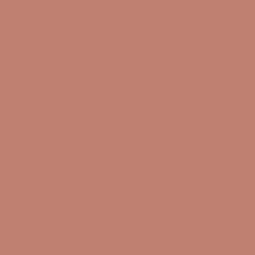 cinnamon | art gallery PURE solids - floydthefox