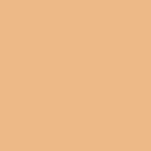 RESTSTÜCK 80cm | georgia peach | art gallery PURE solids - floydthefox
