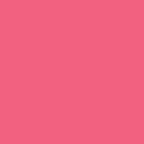 cactus flower | art gallery PURE solids - floydthefox