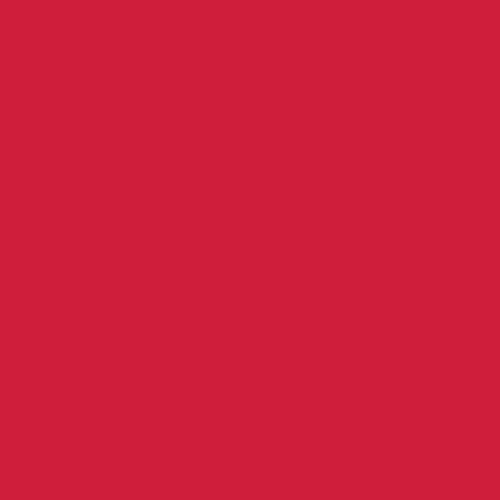 undeniably red | art gallery PURE solids - floydthefox