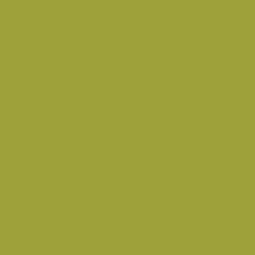 parrot | art gallery PURE solids - floydthefox