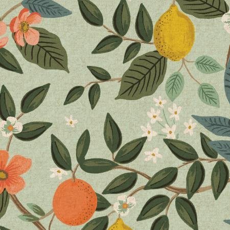 cotton+steel | rifle paper co | canvas | bramble | citrus grove mint - floydthefox