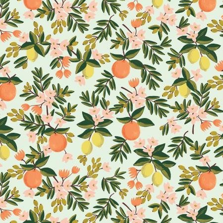 cotton+steel | rifle paper co | primavera | citrus floral mint - floydthefox