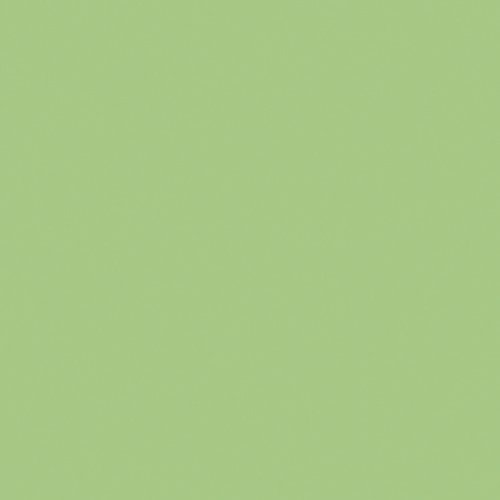 pistachio cream | art gallery PURE solids - floydthefox