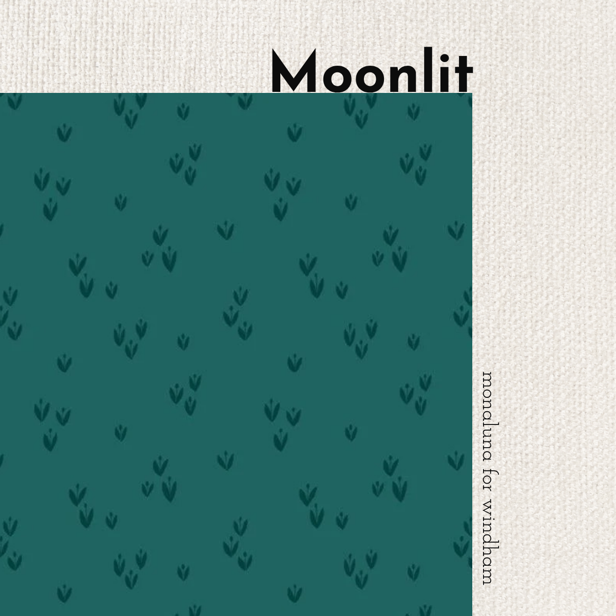 Monaluna Moonlit – Blender-Serie