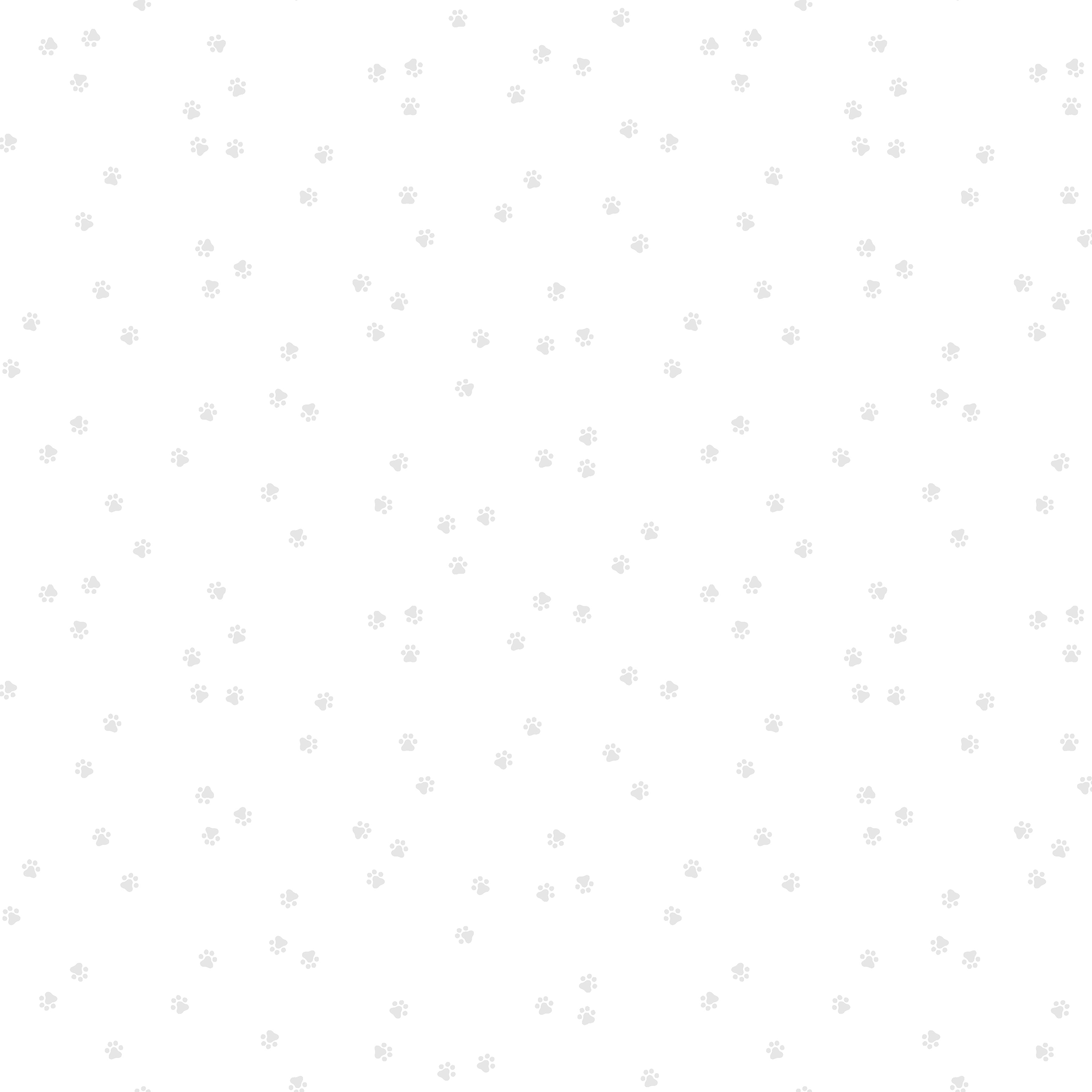 windham fabrics | frosting | white on white | puppy paws