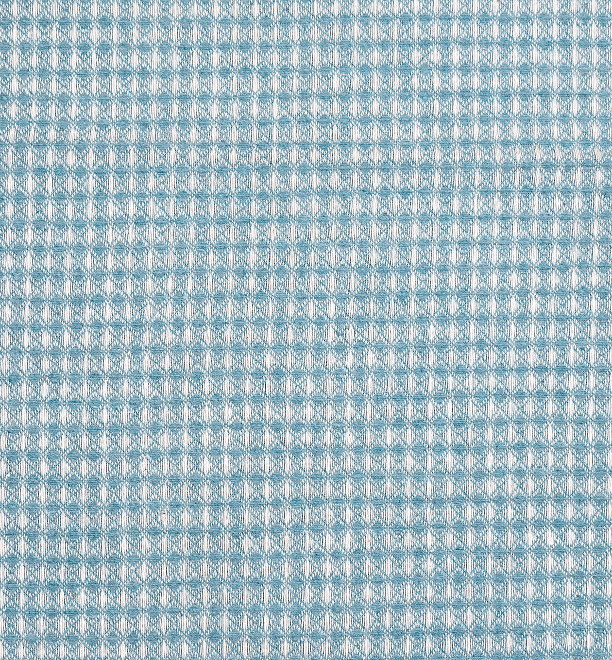 latate barcelona sea waffle