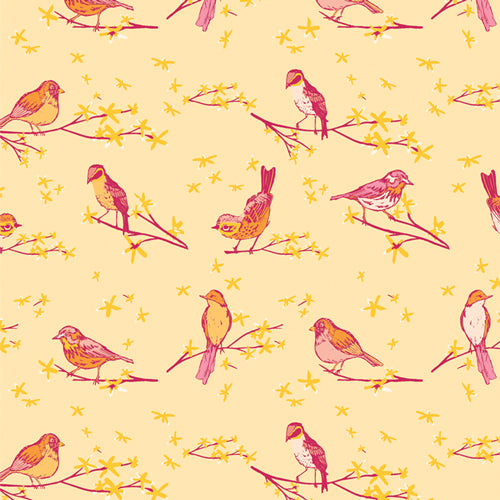 agf | marigold | the dawn chorus