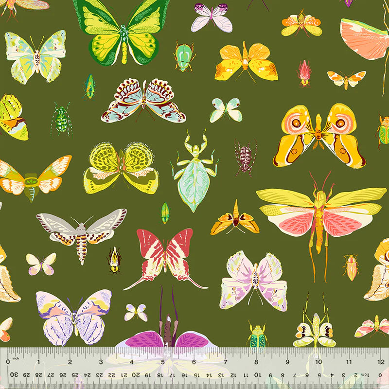 windham fabrics | insectarium | olive on display