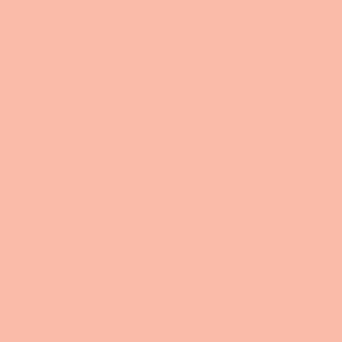 popsicle | art gallery PURE solids