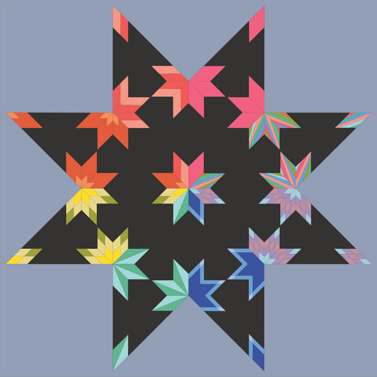 quiltkit | plains and pine | combo star BOM | rainbow