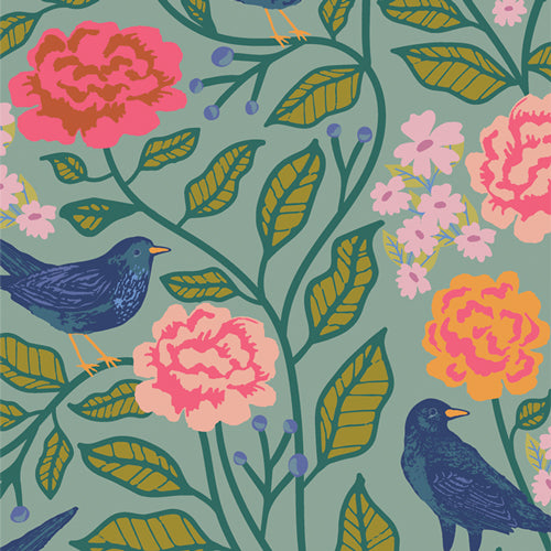 agf | starling | blackbird aviary