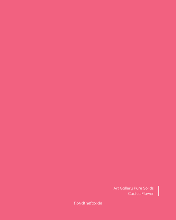 fleur de cactus | galerie d'art PURE solids
