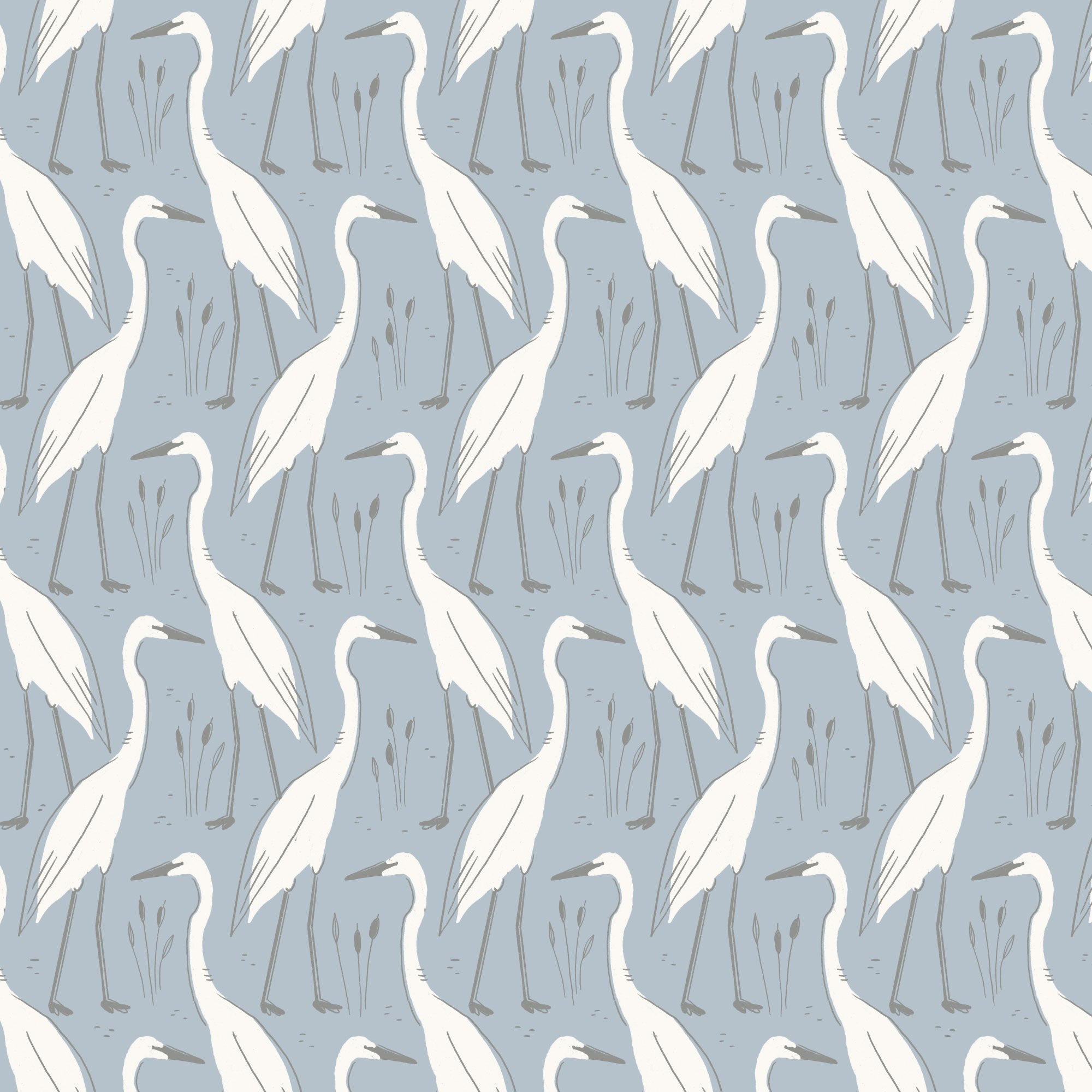 cloud9 BIO | coastal calm | harry blue - floydthefox