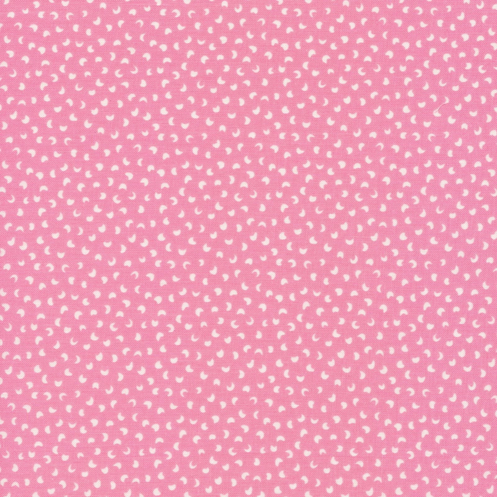 cloud9 BIO | tropical garden | firefly - floydthefox