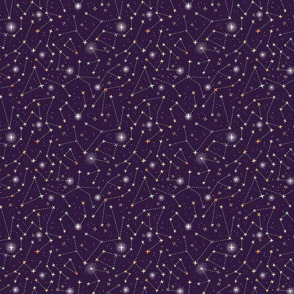 paintbrush studio fabrics | patchworkstoff | starlight spooks | night sky