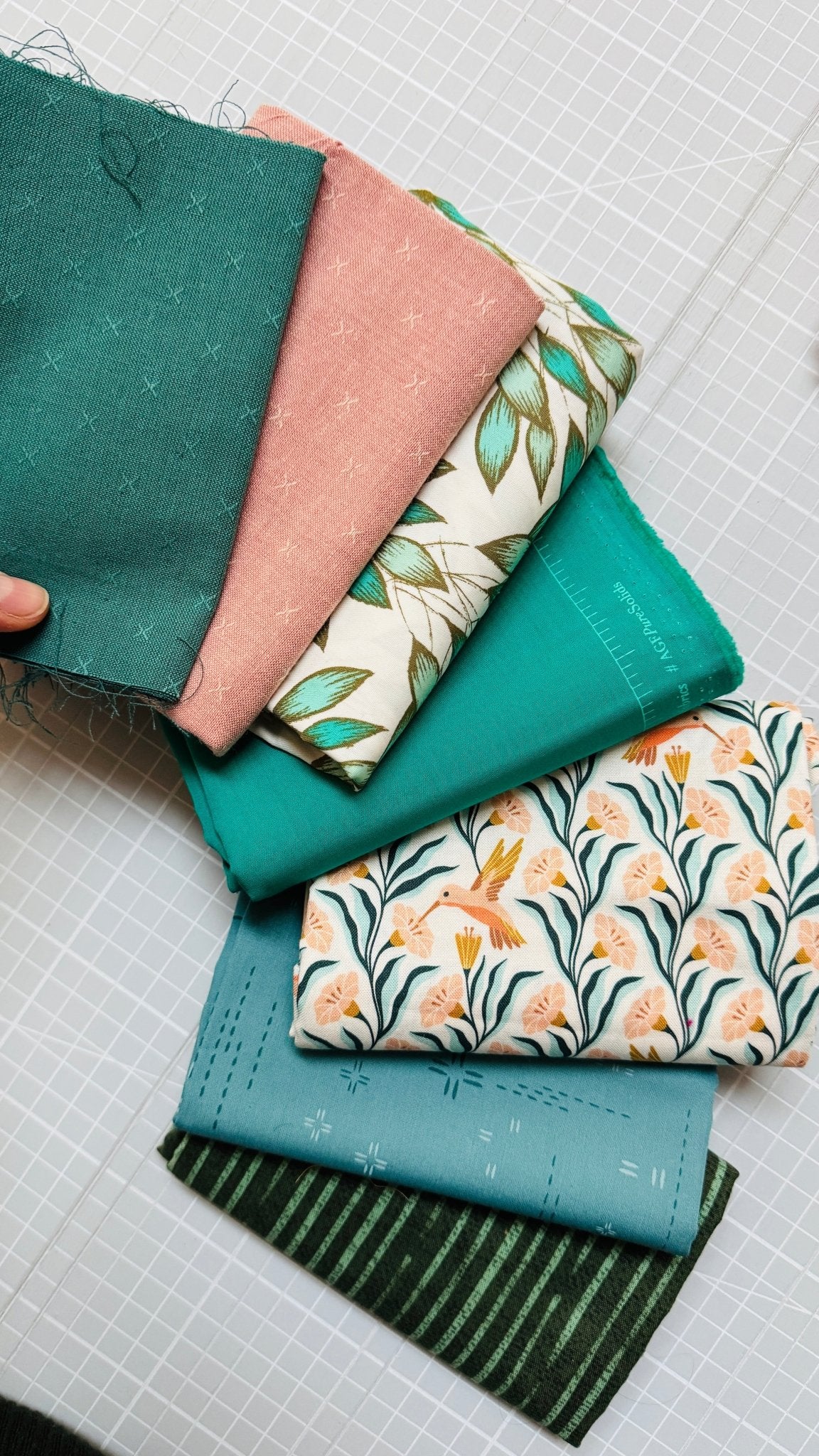 restepaket | kolibri - floydthefox