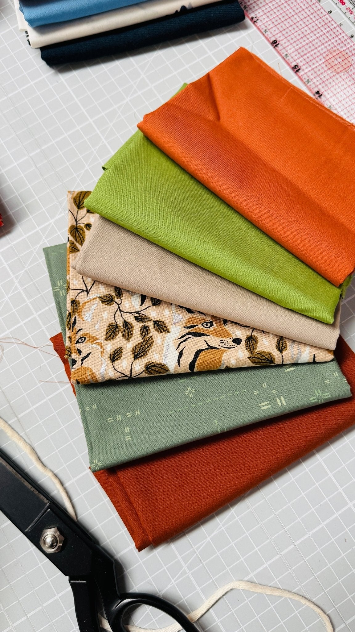 restepaket | wald - floydthefox