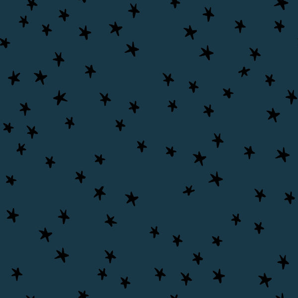 Ruby Star Society | Patchwork Fabric | 108" Wide Backing Fabric | Starry | Smoke