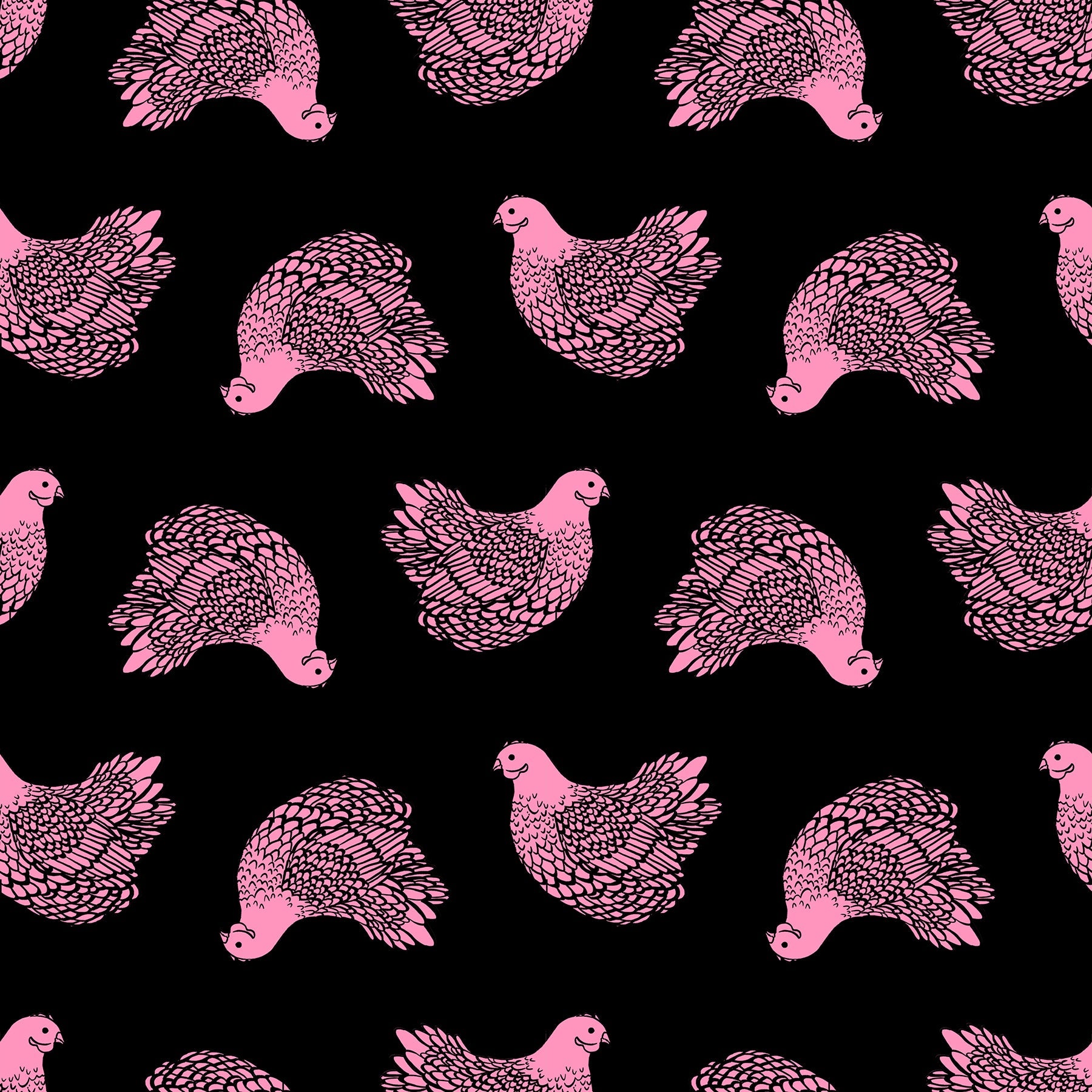 ruby star society | backyard | chicken black - floydthefox