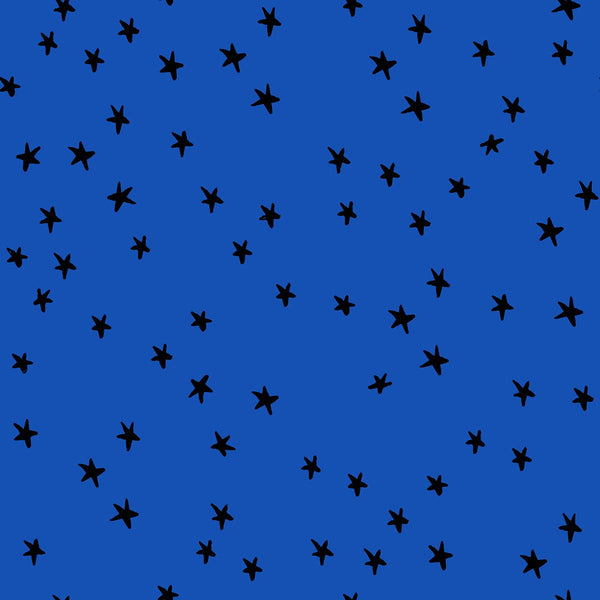 ruby star society | starry | blue ribbon