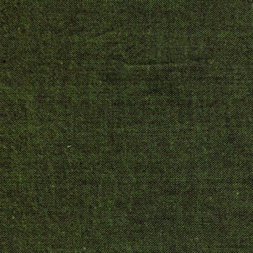 studio e | peppered cotton | jungle - floydthefox