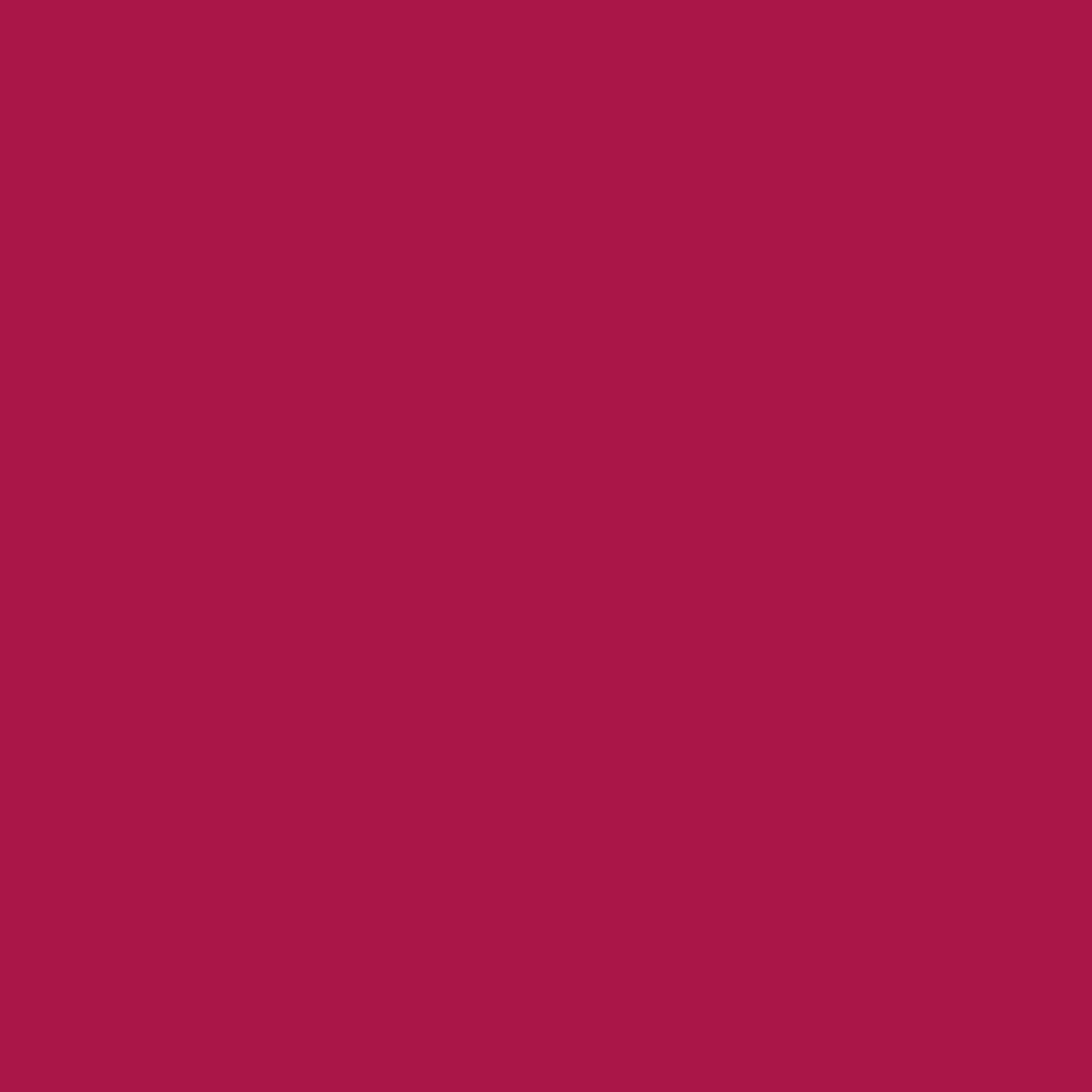 windham fabrics | ruby + bee solids | rose hip - floydthefox
