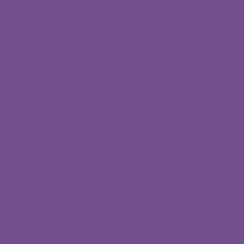 purple pansy | art gallery PURE solids